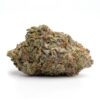 blue cheese strain