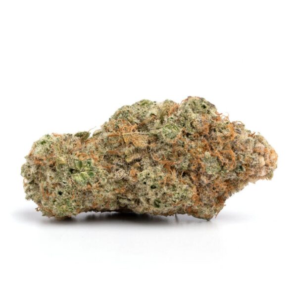gmo strain