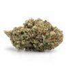 gelato cake strain