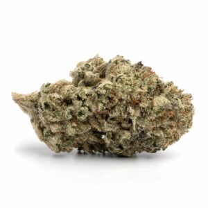 gelato cake strain