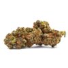 government oasis strain