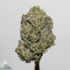 black diamond strain