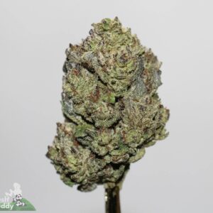 black diamond strain