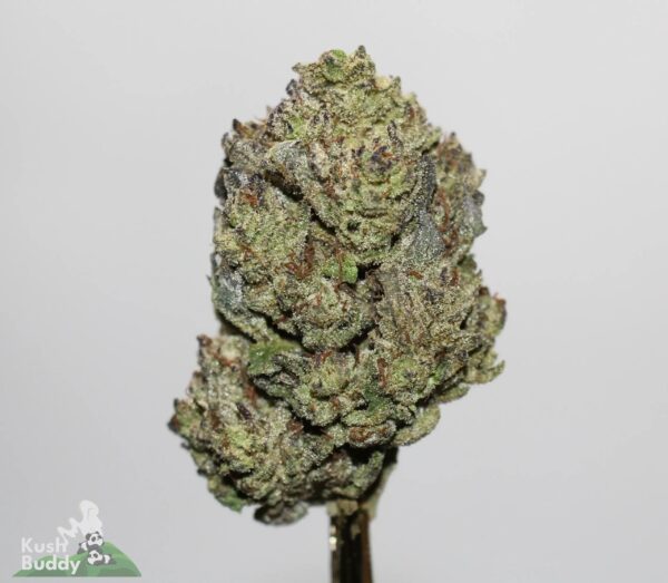 black diamond strain