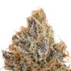 donny burger strain
