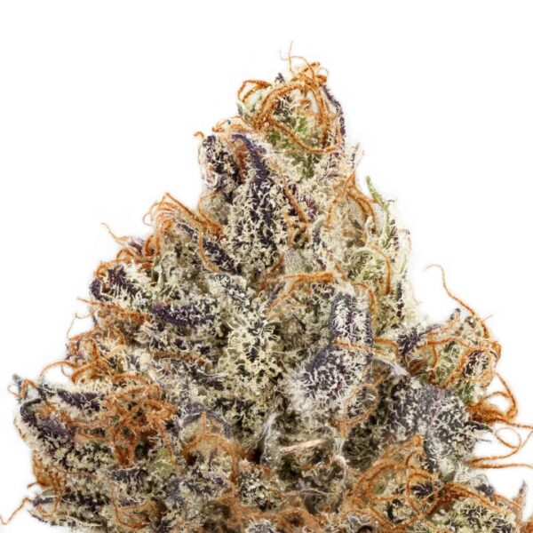 donny burger strain