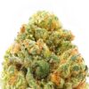 jelly breath strain