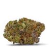mango gelato strain