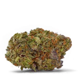 mango gelato strain