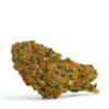 peach panther strain