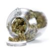 Sungrown Flower