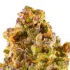 the menage strain